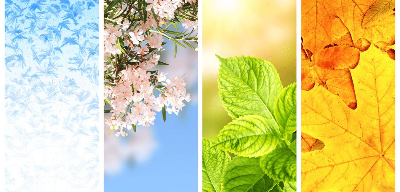 Seasonal Scents