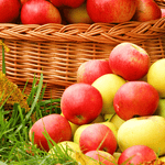 Apple Harvest Wax Melts SavageCandles