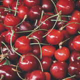 Black Cherry Wax Melts Candles Savage Candles