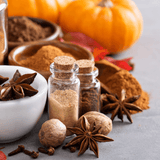 Toasted Pumpkin Spice Wax Melts Savage Candles 