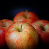 Macintosh Apple Wax Melts Savage Candles 