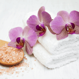 Sea Salt & Orchid Wax Melt Wax Melts SavageCandles 