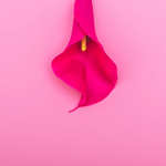 W.A.P Wax Melts Savage Candles 